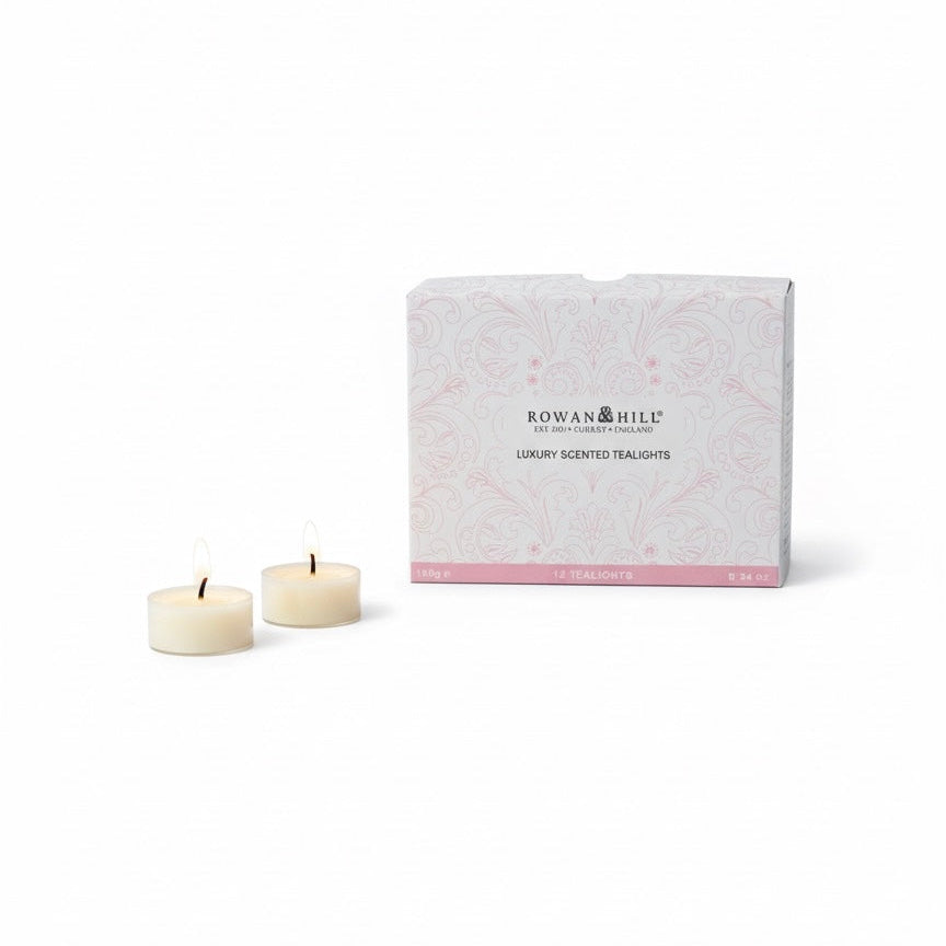 ENGLISH ROSE - TEALIGHTS - CASE OF 6